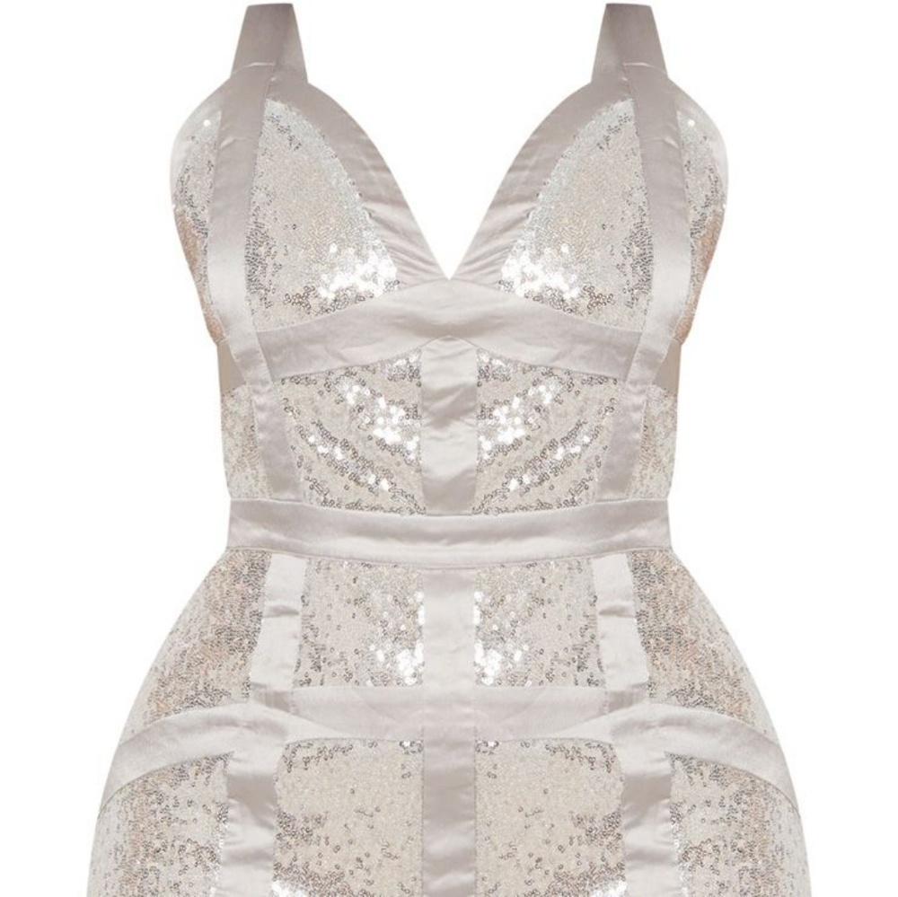 Panel  Bodycon Dress